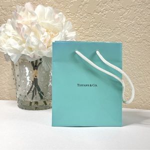 Tiffany & Co. Small Gift Bag